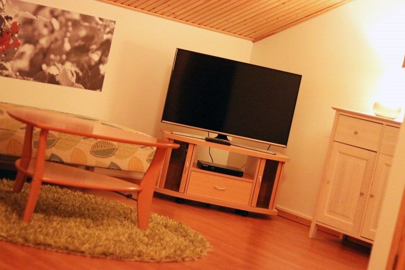 vuokattivika+majoitus+televisio